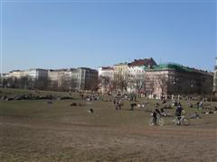 good old G&ouml;rli Park