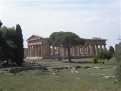 Paestum