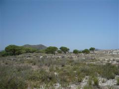Sardinien
